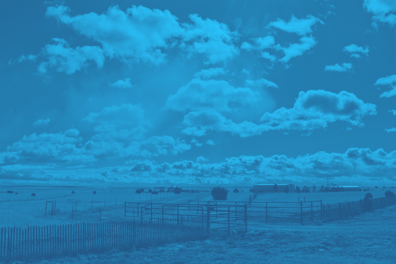 Do you know what to do with your mineral rights?