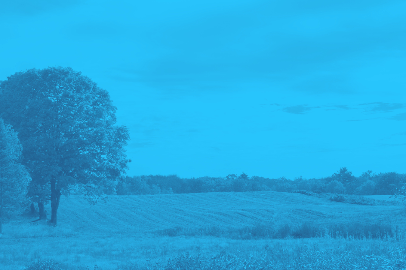 Understanding the True Value of Your Mineral Assets